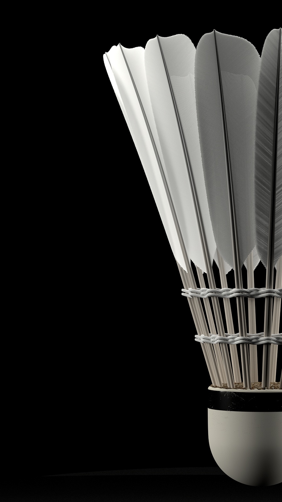 赛形式有效 赛形式有效